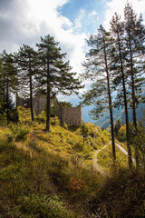 Ruins of a medieval castle