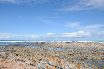 rocks along the sea shore
