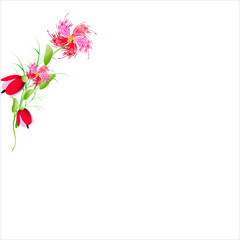 Obraz premium beautiful flowers