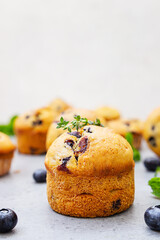 Fresh homemade delicious blueberry muffins decorated with thyme, fresh berries and mint on grey background. Close up.