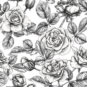 Seamless pattern with roses flowers. Colored vector illustration. In black and white graphic