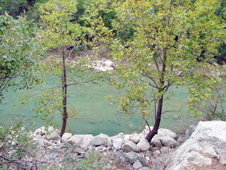 View from the thickets of the mountain forest on the rapid flow of a transparent mountain river at the bottom of the canyon.