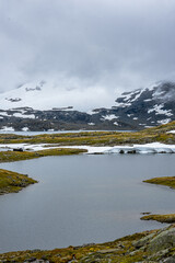 plateau with snow patches in autumn in norway (Sognefjellsveien)