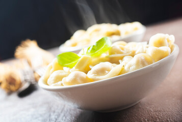 The Russian Pelmeni