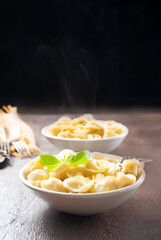 The Russian Pelmeni