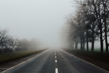 Misty foggy spring morning on the road with trees on sidelines.