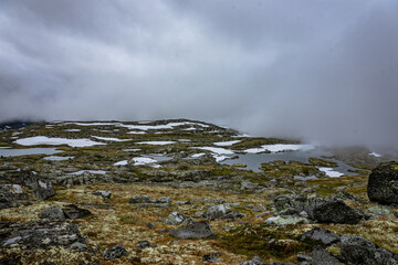 plateau with snow patches in autumn in norway (Sognefjellsveien)