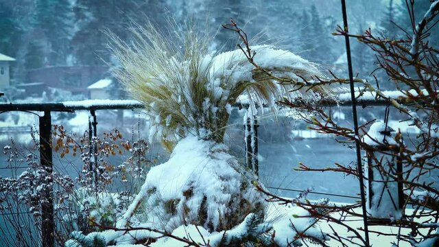 Blumentopf im Winter auf dem Balkon bei Schnee Sturm