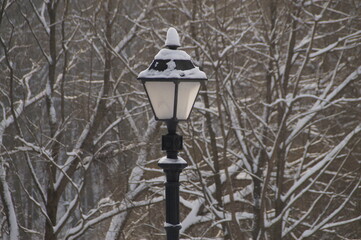 Fototapeta na wymiar street lamp in winter in the park