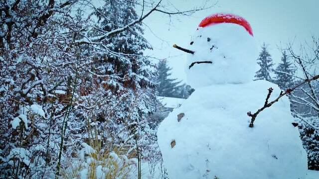 Ein Schneemann
