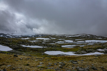 plateau with snow patches in autumn in norway (Sognefjellsveien)