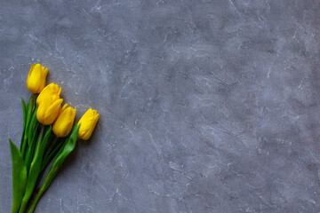 Yellow tulips on grey background. Copy space for text and Trendy color 2021.