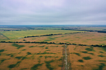 Obraz premium landscape view of one of the parts of Ukraine in the Khmelnytsky and Kiev regions.