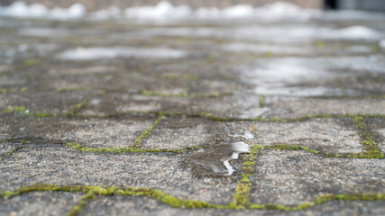 Melting ice from a snow cave igloo on a sunny day in late winter early spring near Neuhof, Germany.