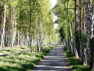 Cycleway from Berlin to Copenhagen via Usedom