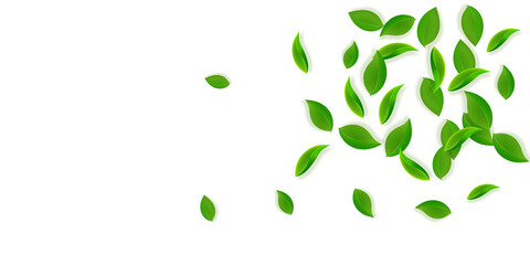 Falling green leaves. Fresh tea neat leaves flying. Spring foliage dancing on yellow green background. Alluring summer overlay template. Tempting spring sale vector illustration.