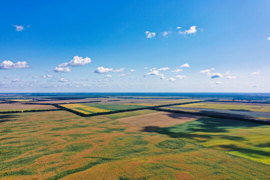 landscape view of one of the parts of Ukraine in the Khmelnytsky and Kiev regions.