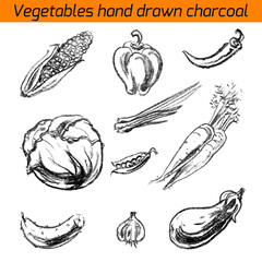 Vector illustration with hand drawn vegetable charcoal. Design of restaurants, a grocery store. Vintage set vegetables.