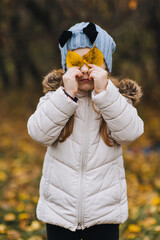 A beautiful girl, a child in a jacket of preschool age, closes her eyes and face with yellow maple leaves. Autumn portrait, photography.