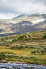 dovrefjell landscape in norway in summer