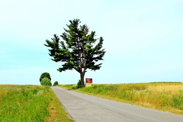Tuchla , Czerniawka , Charytany , Piaski © woodyd