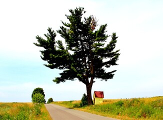 Tuchla , Czerniawka , Charytany , Piaski © woodyd