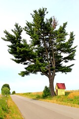 Tuchla , Czerniawka , Charytany , Piaski © woodyd