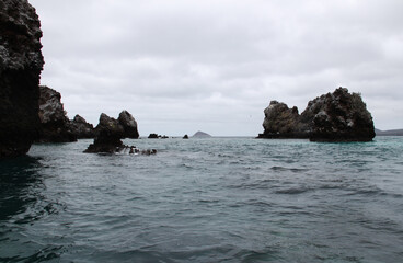 landscape of the Galapagos Islands