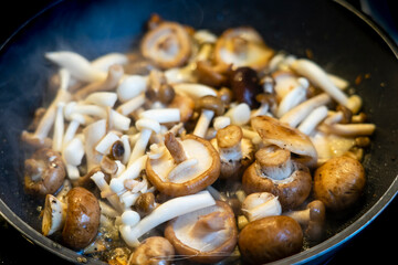 cooking homemade a variety of mushrooms confit in a pan with olive oil