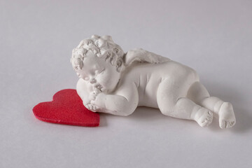 Little white peacefully sleeping