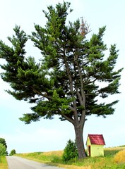 Tuchla , Czerniawka , Charytany , Piaski © woodyd