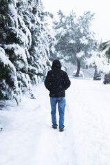 Fototapeta na wymiar Person in snow with big trees