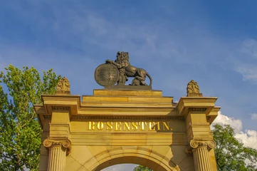 Altes Denkmal eines großen Löwen mit Kriegsschild als Verteidiger am Neuen Schloss in Stuttgart, Deutschland, und am blauen Himmelshintergrund. © neurobite
