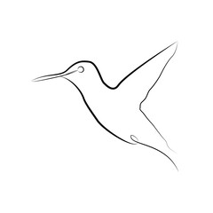 Hummingbird in one line. Black line vector illustration on white background