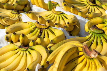 Bunches of bananas on a market stall in Chengdu, Sichuan province, China