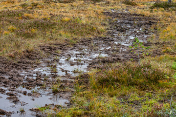 Marshland with water and mud in Norway