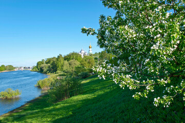 Fototapeta na wymiar Blooming apple tree against the background of St. Sophia Cathedral and the Vologda River