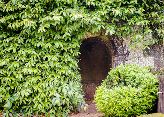 Wall covered with plants and entrance to the pantry in the XVIII century Bussaco Palace park in Portugal