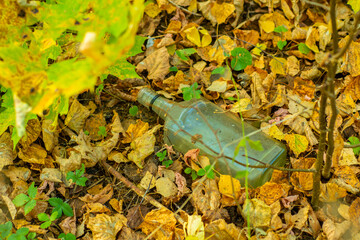 A glass bottle thrown on the ground in an autumn forest. Clogging of wildlife. Landscape with garbage and yellow autumn leaves. The concept is the protection of the environment.