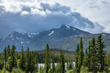 Trees with mountains in the background