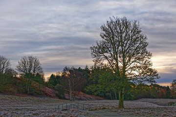 Naklejka premium the sun coming up through the layers of grey clouds over a solitary tree and Footbridge on an abandoned Golf Course near Colliston, Arbroath.