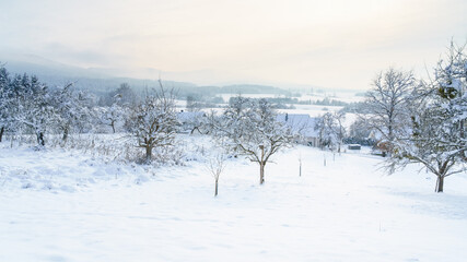 cold winter snow scenery