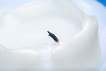 A burnt white, thick candle with molten paraffin wax. Close-up blurred in soft focus at high...