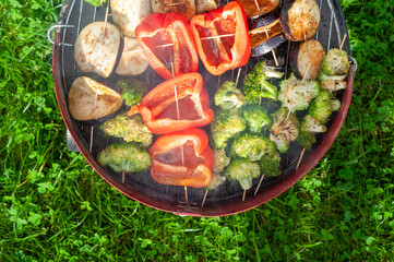 Vegetarian grill on a background of grass.
