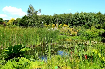 Arboretum Bolestraszyce