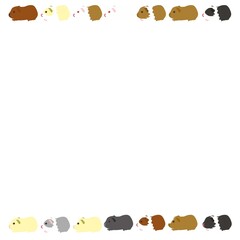 イングリッシュモルモット枠01