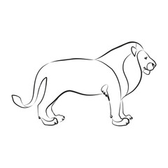 Lion. Outlined silhouette of a lion isolated on a white background. Vector 10 EPS.
