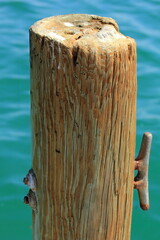 A Pier piling with green water background.