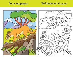 Coloring book page and color template cougar