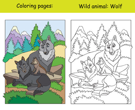 Coloring book page and color template wolf